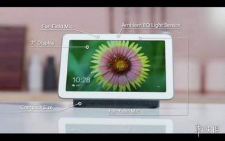 時(shí)代周刊 2018十大電子產(chǎn)品 xbox無障礙手柄第一